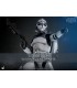 WOLFPACK 104TH BATTALION HOT TOYS