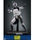 WOLFFE CLONE COMMANDER HOT TOYS