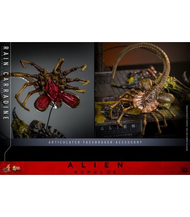 RAIN CARRADINE ALIEN ROMULUS HOT TOYS