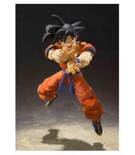 SON GOKU SAYAN RAISED ON EARTH 14 TAMASHI NATIONS