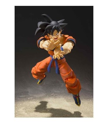 SON GOKU SAYAN RAISED ON EARTH 14 TAMASHI NATIONS