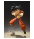 SON GOKU SAYAN RAISED ON EARTH 14 TAMASHI NATIONS