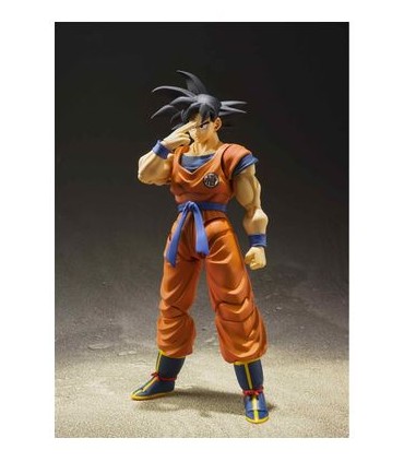 SON GOKU SAYAN RAISED ON EARTH 14 TAMASHI NATIONS