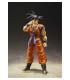 SON GOKU SAYAN RAISED ON EARTH 14 TAMASHI NATIONS