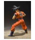 SON GOKU SAYAN RAISED ON EARTH 14 TAMASHI NATIONS