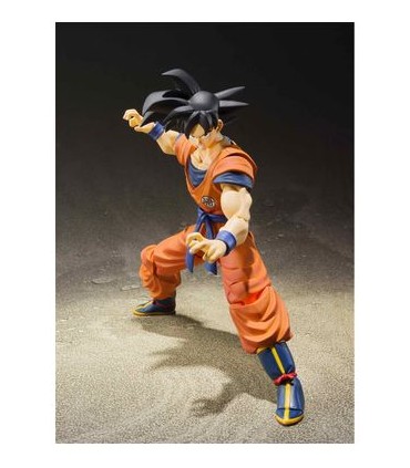 SON GOKU SAYAN RAISED ON EARTH 14 TAMASHI NATIONS