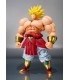 BROLY 40 TH ANNIVERSARY EDITION TAMASHI NATIONS