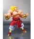BROLY 40 TH ANNIVERSARY EDITION TAMASHI NATIONS