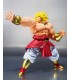BROLY 40 TH ANNIVERSARY EDITION TAMASHI NATIONS