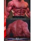 RED HULK CAPITAN AMERICA BRAVE NEW WORLD HOT TOYS