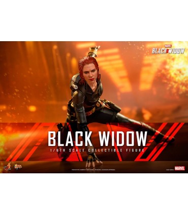 BLACK WIDOW SPECIAL EDITION BONUS HOT TOYS