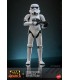 STORMTROOPER REBELS HONO