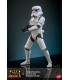STORMTROOPER REBELS HONO