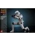 STORMTROOPER REBELS HONO