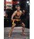 FRANK DUX BLOODSPORT STANDARD VERSION INFINITE STUDIOS