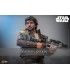 CASSIAN ANDOR HOT TOYS