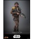 CASSIAN ANDOR HOT TOYS