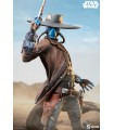 CAD BANE PREMIUM FORMAT SIDESHOW