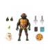 RAPHAEL  TMNT CARTOON ULTIMATE VHS NECA