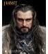 THORIN ESCUDO DE ROBLE INART
