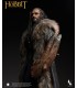 THORIN ESCUDO DE ROBLE INART
