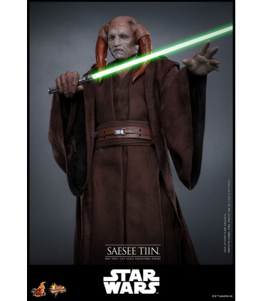 SAESEE TIN LA VENGANZA DE LOS SITH HOT TOYS