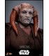 SAESEE TIN LA VENGANZA DE LOS SITH HOT TOYS
