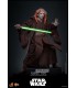 SAESEE TIN LA VENGANZA DE LOS SITH HOT TOYS