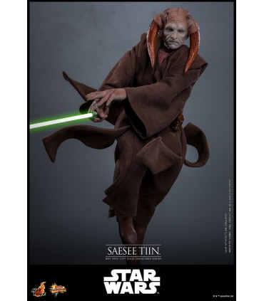 SAESEE TIN LA VENGANZA DE LOS SITH HOT TOYS