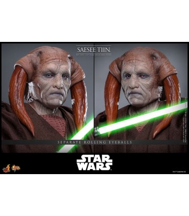 SAESEE TIN LA VENGANZA DE LOS SITH HOT TOYS