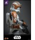 COMMANDER CODY   EXCLUSIVE HOT TOYS