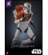 CLONE COMMANDO BOSS  EXCLUSIVE HOT TOYS