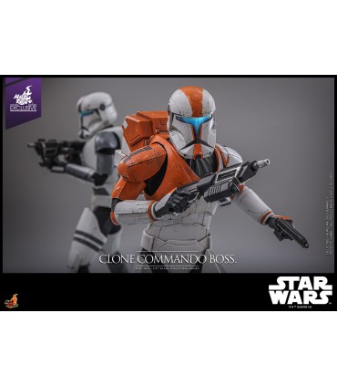 copy of AIRBORNE TROOPER EXCLUSIVE HOT TOYS