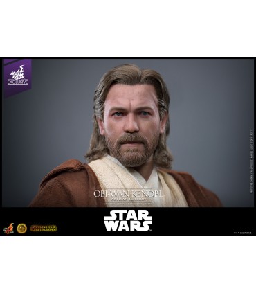 copy of AIRBORNE TROOPER EXCLUSIVE HOT TOYS