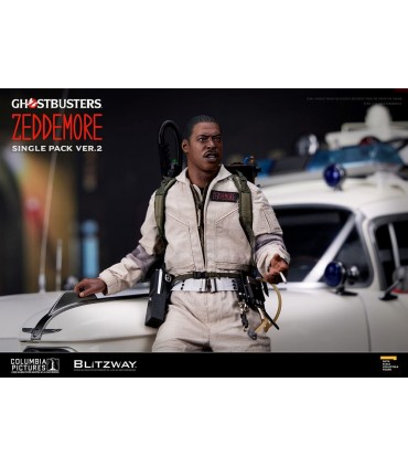 copy of RAYMOND STANZ 1/6 BLITZWAY