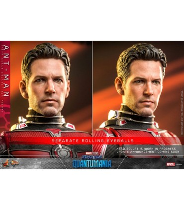copy of ANT-MAN 1/6 SCALE HOT TOYS -ANTMAN WASP QUANTUMANIA-
