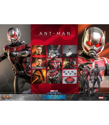 copy of ANT-MAN 1/6 SCALE HOT TOYS -ANTMAN WASP QUANTUMANIA-