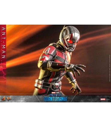 copy of ANT-MAN 1/6 SCALE HOT TOYS -ANTMAN WASP QUANTUMANIA-