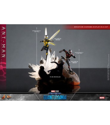 copy of ANT-MAN 1/6 SCALE HOT TOYS -ANTMAN WASP QUANTUMANIA-