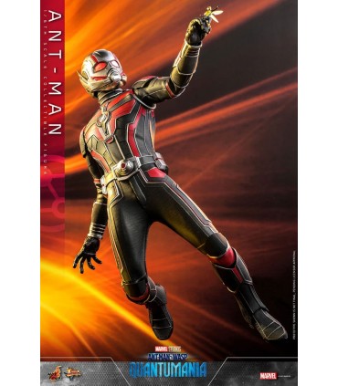 copy of ANT-MAN 1/6 SCALE HOT TOYS -ANTMAN WASP QUANTUMANIA-