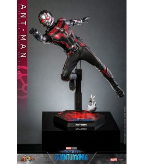 copy of ANT-MAN 1/6 SCALE HOT TOYS -ANTMAN WASP QUANTUMANIA-
