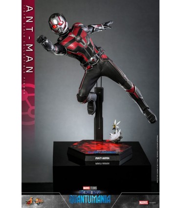 ANT-MAN 1/6 SCALE HOT TOYS -ANTMAN WASP QUANTUMANIA-