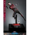 ANT-MAN 1/6 SCALE HOT TOYS -ANTMAN WASP QUANTUMANIA-