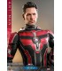 ANT-MAN 1/6 SCALE HOT TOYS -ANTMAN WASP QUANTUMANIA-