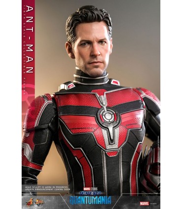 ANT-MAN 1/6 SCALE HOT TOYS -ANTMAN WASP QUANTUMANIA-
