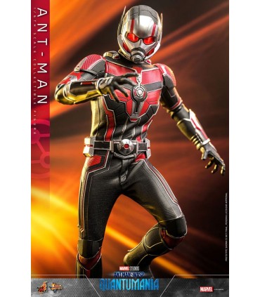 copy of ANT-MAN 1/6 SCALE HOT TOYS -ANTMAN WASP QUANTUMANIA-