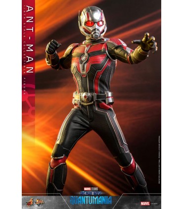 copy of ANT-MAN 1/6 SCALE HOT TOYS -ANTMAN WASP QUANTUMANIA-