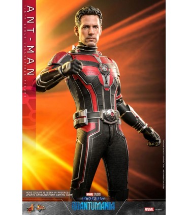 copy of ANT-MAN 1/6 SCALE HOT TOYS -ANTMAN WASP QUANTUMANIA-