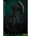 BIG CHAP ALIEN HOT TOYS