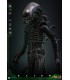 BIG CHAP ALIEN HOT TOYS